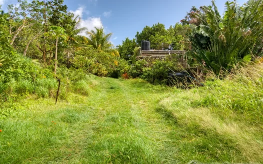 PETITE COULIBRI ESTATE – 310 Acres of High-End Sustainable Eco-Resort and Legacy Development Potential
