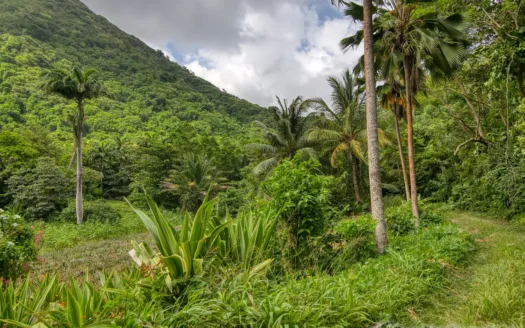 PETITE COULIBRI ESTATE – 310 Acres of High-End Sustainable Eco-Resort and Legacy Development Potential