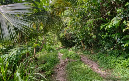 PETITE COULIBRI ESTATE – 310 Acres of High-End Sustainable Eco-Resort and Legacy Development Potential