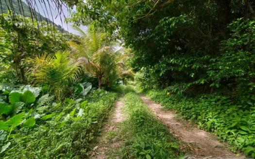PETITE COULIBRI ESTATE – 310 Acres of High-End Sustainable Eco-Resort and Legacy Development Potential