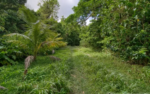 PETITE COULIBRI ESTATE – 310 Acres of High-End Sustainable Eco-Resort and Legacy Development Potential