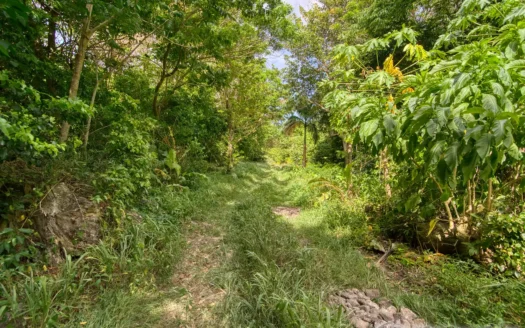 PETITE COULIBRI ESTATE – 310 Acres of High-End Sustainable Eco-Resort and Legacy Development Potential