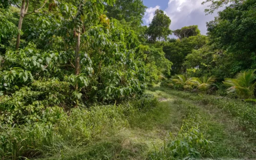 PETITE COULIBRI ESTATE – 310 Acres of High-End Sustainable Eco-Resort and Legacy Development Potential
