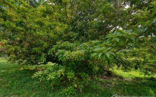 PETITE COULIBRI ESTATE – 310 Acres of High-End Sustainable Eco-Resort and Legacy Development Potential