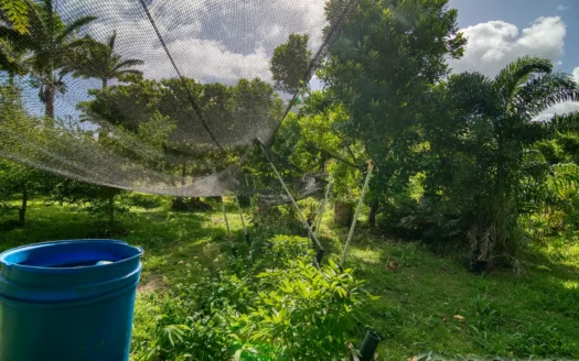 PETITE COULIBRI ESTATE – 310 Acres of High-End Sustainable Eco-Resort and Legacy Development Potential
