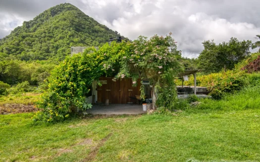 PETITE COULIBRI ESTATE – 310 Acres of High-End Sustainable Eco-Resort and Legacy Development Potential