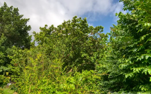 PETITE COULIBRI ESTATE – 310 Acres of High-End Sustainable Eco-Resort and Legacy Development Potential