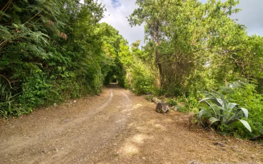 PETITE COULIBRI ESTATE – 310 Acres of High-End Sustainable Eco-Resort and Legacy Development Potential
