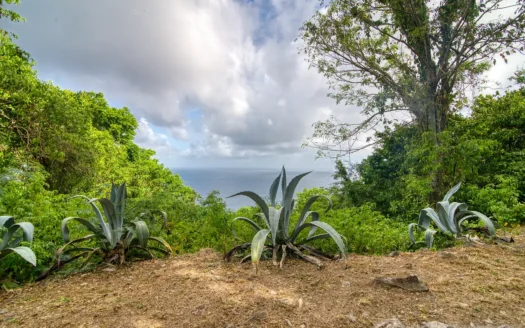 PETITE COULIBRI ESTATE – 310 Acres of High-End Sustainable Eco-Resort and Legacy Development Potential