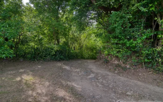 PETITE COULIBRI ESTATE – 310 Acres of High-End Sustainable Eco-Resort and Legacy Development Potential