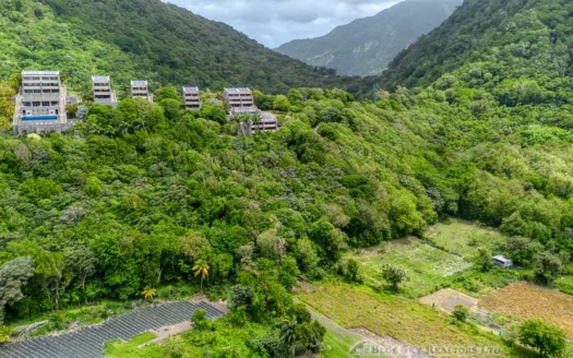 PETITE COULIBRI ESTATE – 310 Acres of High-End Sustainable Eco-Resort and Legacy Development Potential