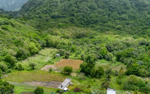 PETITE COULIBRI ESTATE – 310 Acres of High-End Sustainable Eco-Resort and Legacy Development Potential