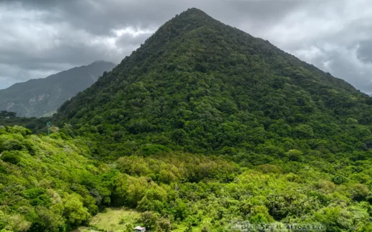 PETITE COULIBRI ESTATE – 310 Acres of High-End Sustainable Eco-Resort and Legacy Development Potential