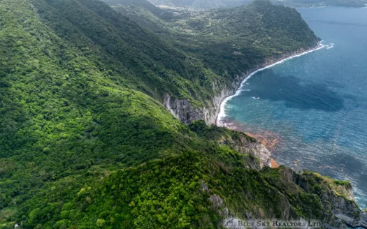 PETITE COULIBRI ESTATE – 310 Acres of High-End Sustainable Eco-Resort and Legacy Development Potential