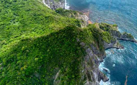 PETITE COULIBRI ESTATE – 310 Acres of High-End Sustainable Eco-Resort and Legacy Development Potential
