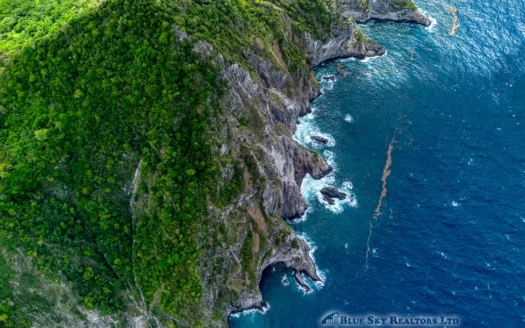 PETITE COULIBRI ESTATE – 310 Acres of High-End Sustainable Eco-Resort and Legacy Development Potential