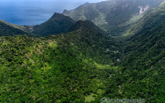 PETITE COULIBRI ESTATE – 310 Acres of High-End Sustainable Eco-Resort and Legacy Development Potential