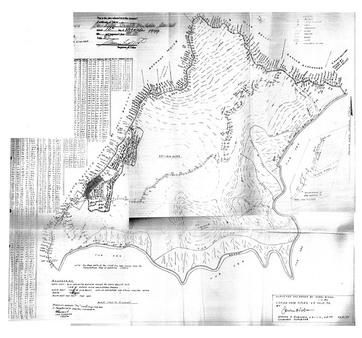 Survey Plan: 310 Acres