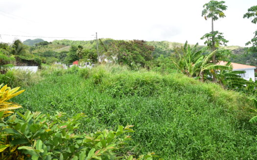 BELFAST – 6,312 SQUARE FEET VACANT SEA VIEW LOT