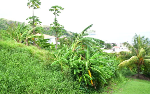 BELFAST – 6,312 SQUARE FEET VACANT SEA VIEW LOT