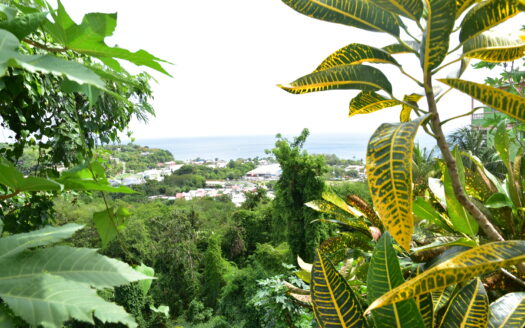 CANEFIELD EAST – 9803 SQUARE FEET VACANT LOT WITH LOVELY SEA VIEW