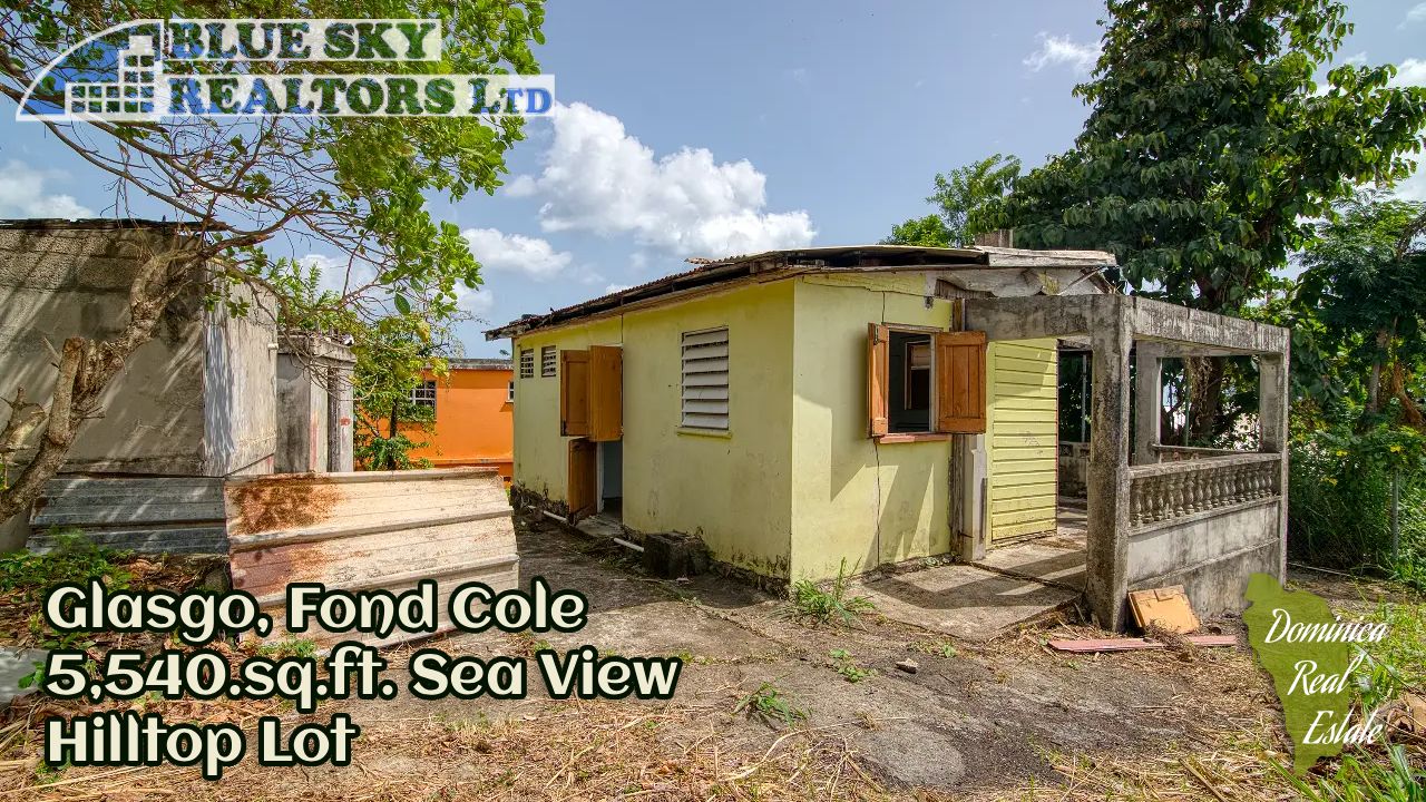 video image