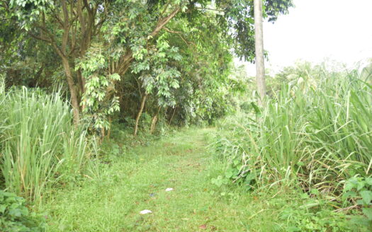 PICARD, PORSTMOUTH – 5225 SQUARE FEET OF PRIME VACANT LAND
