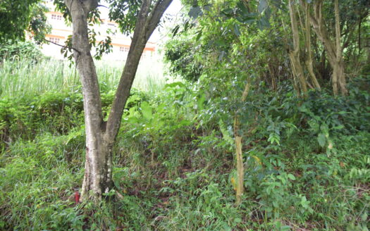 PICARD, PORSTMOUTH – 5225 SQUARE FEET OF PRIME VACANT LAND