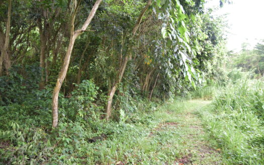 PICARD, PORSTMOUTH – 5225 SQUARE FEET OF PRIME VACANT LAND