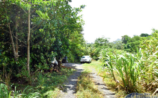 SALTON – 1.07 ACRES NATURE SLICE AGRICULTURAL/RESIDENTIAL LAND