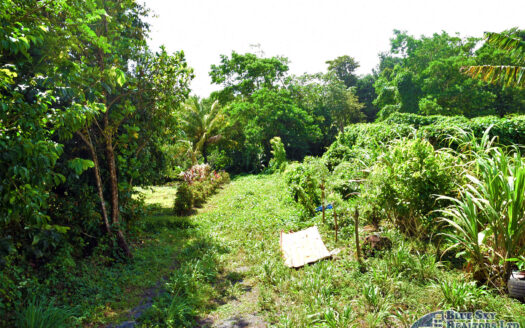 SALTON – 1.07 ACRES NATURE SLICE AGRICULTURAL/RESIDENTIAL LAND