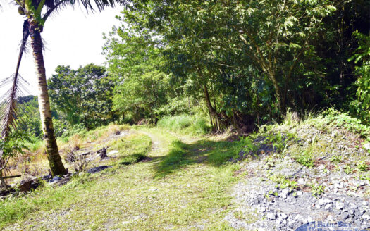 SALTON – 1.07 ACRES NATURE SLICE AGRICULTURAL/RESIDENTIAL LAND