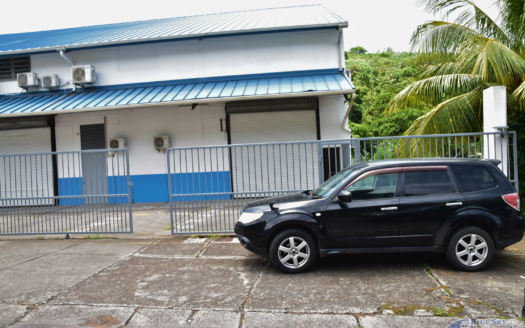 Prime Commercial Warehouse and Office Space for Rent in Fond Cole
